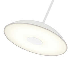 Подвесной светильник ST-Luce SL6128.503.01