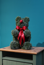 Мишка из живой елки (нобилис)