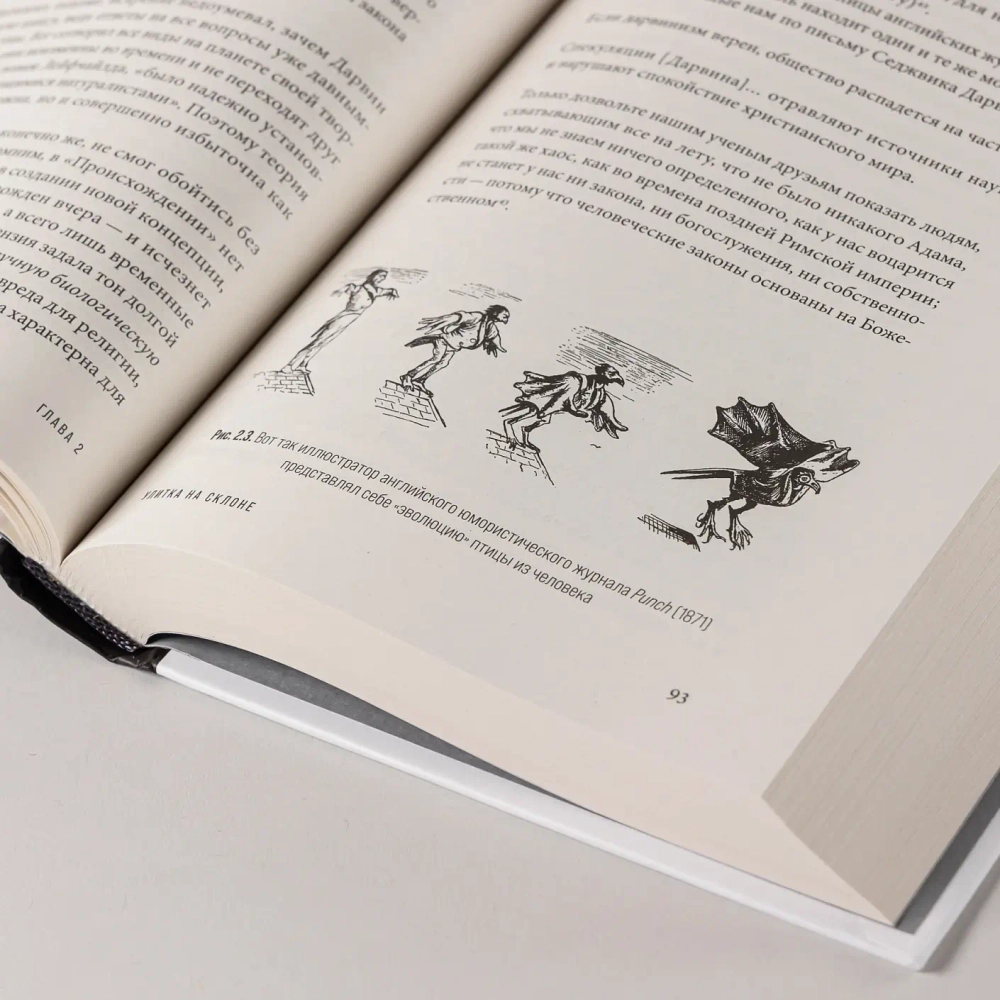 Мертвый лев: Посмертная биография Дарвина и его идей