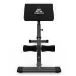 Гиперэкстензия DFC Homegym SJ1006