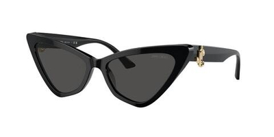 Солнцезащитные очки JC5008 Jimmy Choo - черный(JC5008)