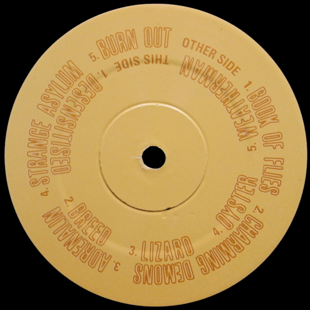 Senser / Asylum (LP)