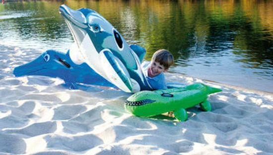 Надувной дельфин ROXY