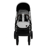 ROAN Коляска 2 в1 Esso Iced Coffee/Black