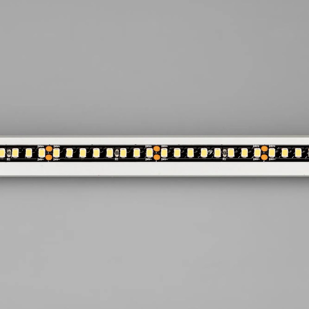 Светодиодная лента RT-5000-2835-160-24V Day4000 (Black 8mm, 12W/m, IP20) (Arlight, -) 029427(1)