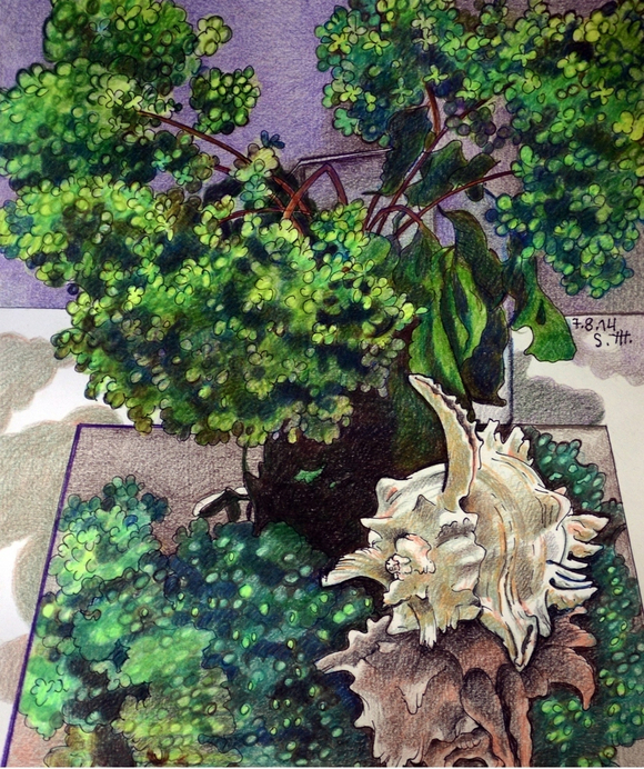 Репродукция на фотобумаге "Раковина"