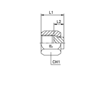 Заглушка V (Г) ORFS 1.3/16
