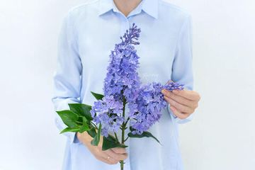 Сирень (3 ветки) - Фиолетовый
