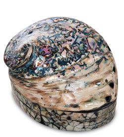 54-013-02 Декоративная шкатулка «Ракушка»