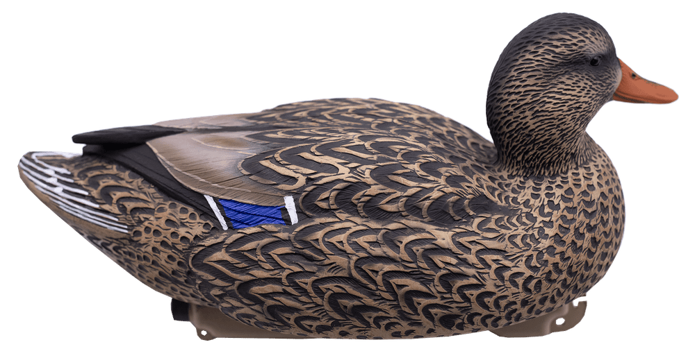 Кряква "FA LIVE MALLARD FLOATERS EVA FLOCKED HEADS" FA 12 шт.