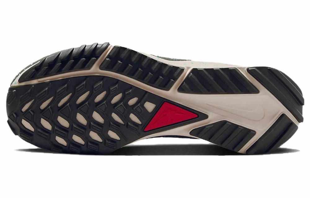 Кроссовки Nike Pegasus Trail 4 Gore-Tex (Женская размерная сетка)