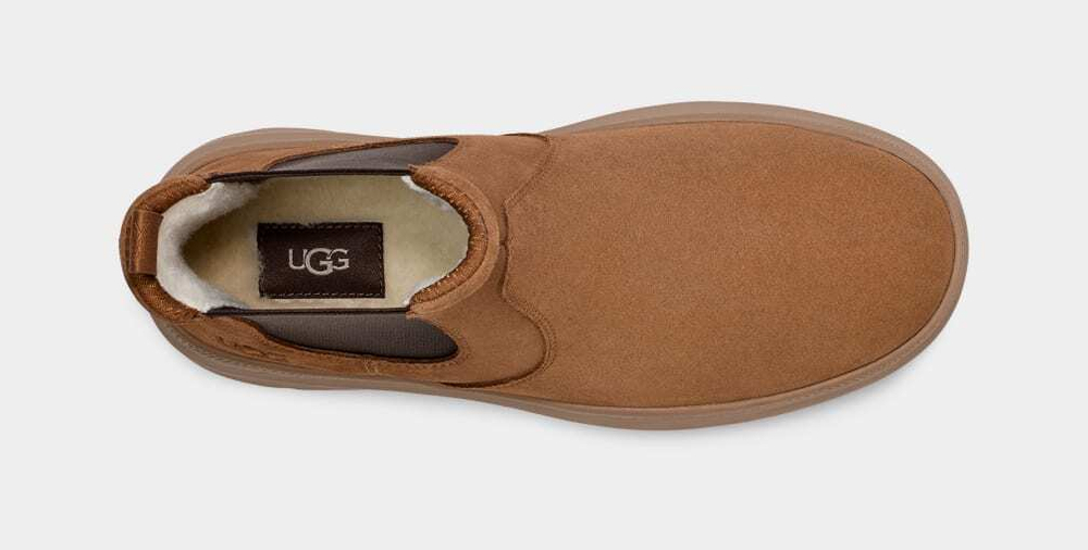 Ugg Mens Burleigh Chelsea Chestnut