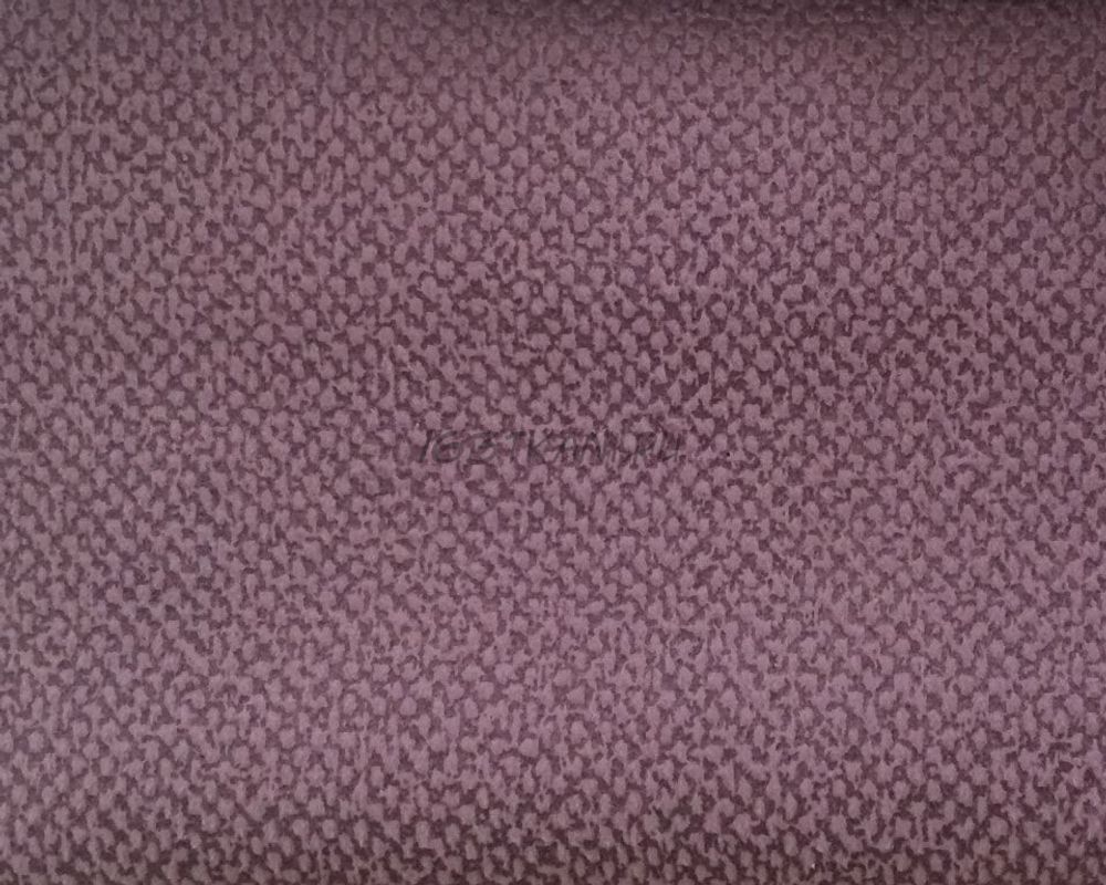 Бретон плам