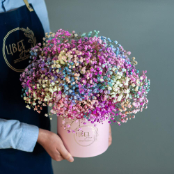 Цветная гипсофила в шляпной коробке размер М