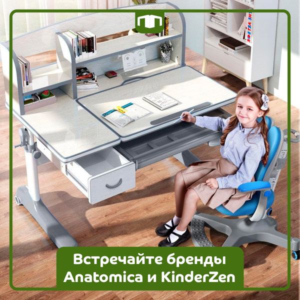 Anatomica и KinderZen в ПартаПермь