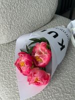 Кулек из пионов