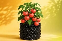 Горшки для выращивания с аэрацией корней