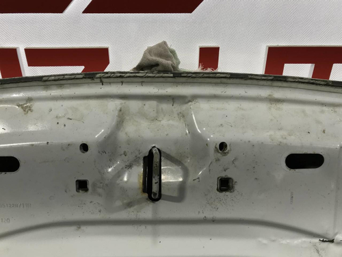 Капот Nissan Terrano 3 (2014-2022)