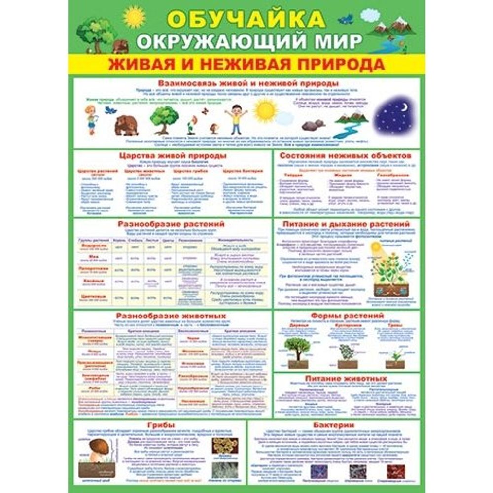 Плакат обучающий, 505 мм * 697 мм, "Обучайка. Окружающий мир. Живая и неживая природа". Мир Открыток, картон