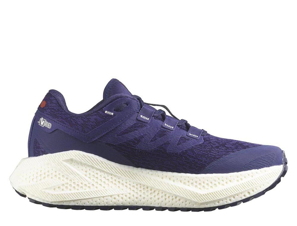 Кроссовки для бега женские Salomon Aero Glide 3 GRVL W Фиолетовые