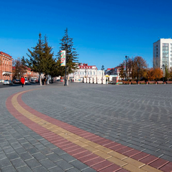 Тротуарная плитка ПРЯМОУГОЛЬНИК 200x100 мм - Стандарт Красный