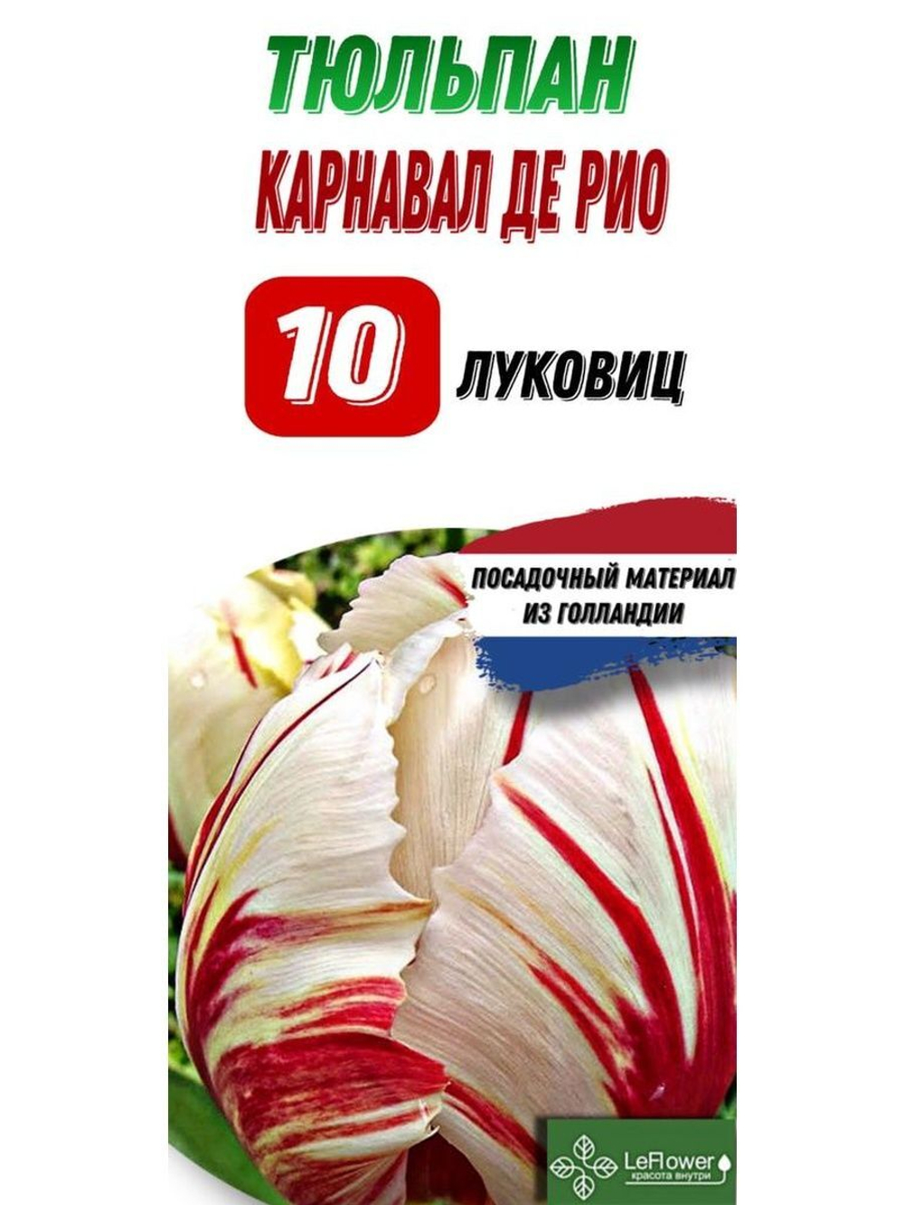 Тюльпан Луковица, Карнавал де Рио, 10шт