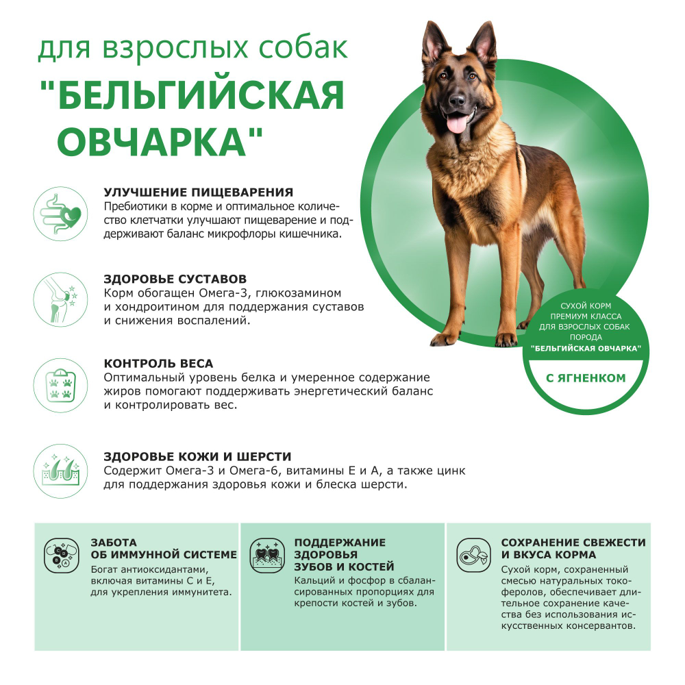 Корм сухой для взрослых собак породы Бельгийская овчарка, с ягненком, 12 кг, QUATTRO
