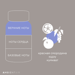 Диффузор ароматический sublime, Цитрусовый цвет, 180 мл