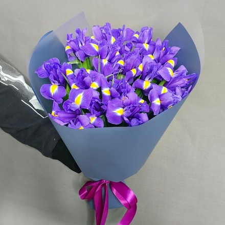 19 ирисов в оформлении