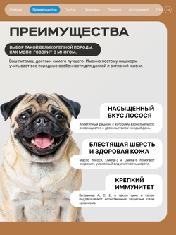 Корм сухой для взрослых собак породы Мопс, с лососем, 800 гр, QUATTRO
