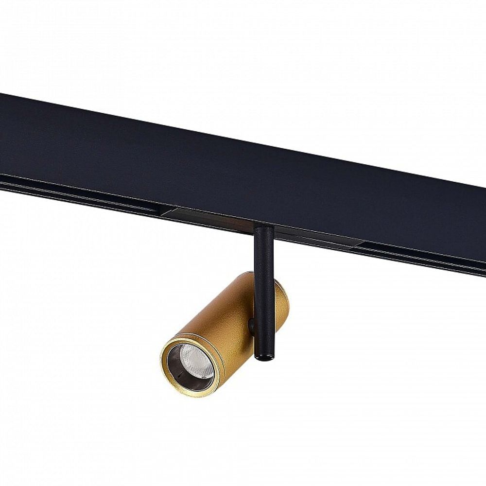 Светильник на штанге ST-Luce ST808 ST808.246.08