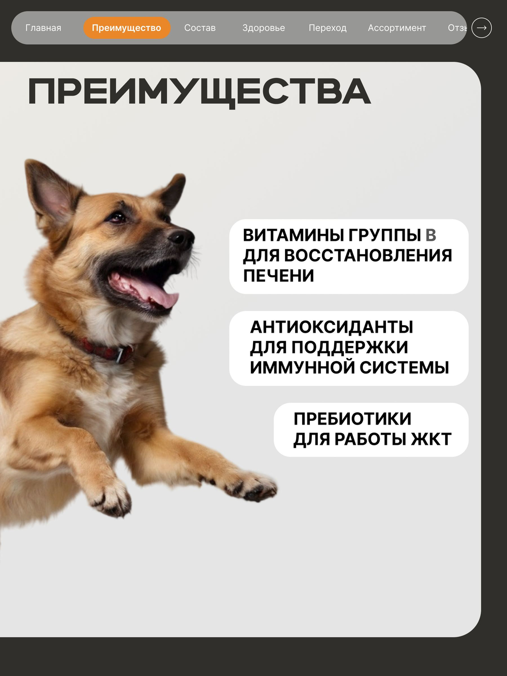 Корм сухой для взрослых собак средних пород, премиум полнорационный комплекс, забота о здоровье печени, с индейкой, 12 кг, QUATTRO