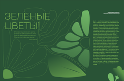 Цветоводство ВЕСНА 2025