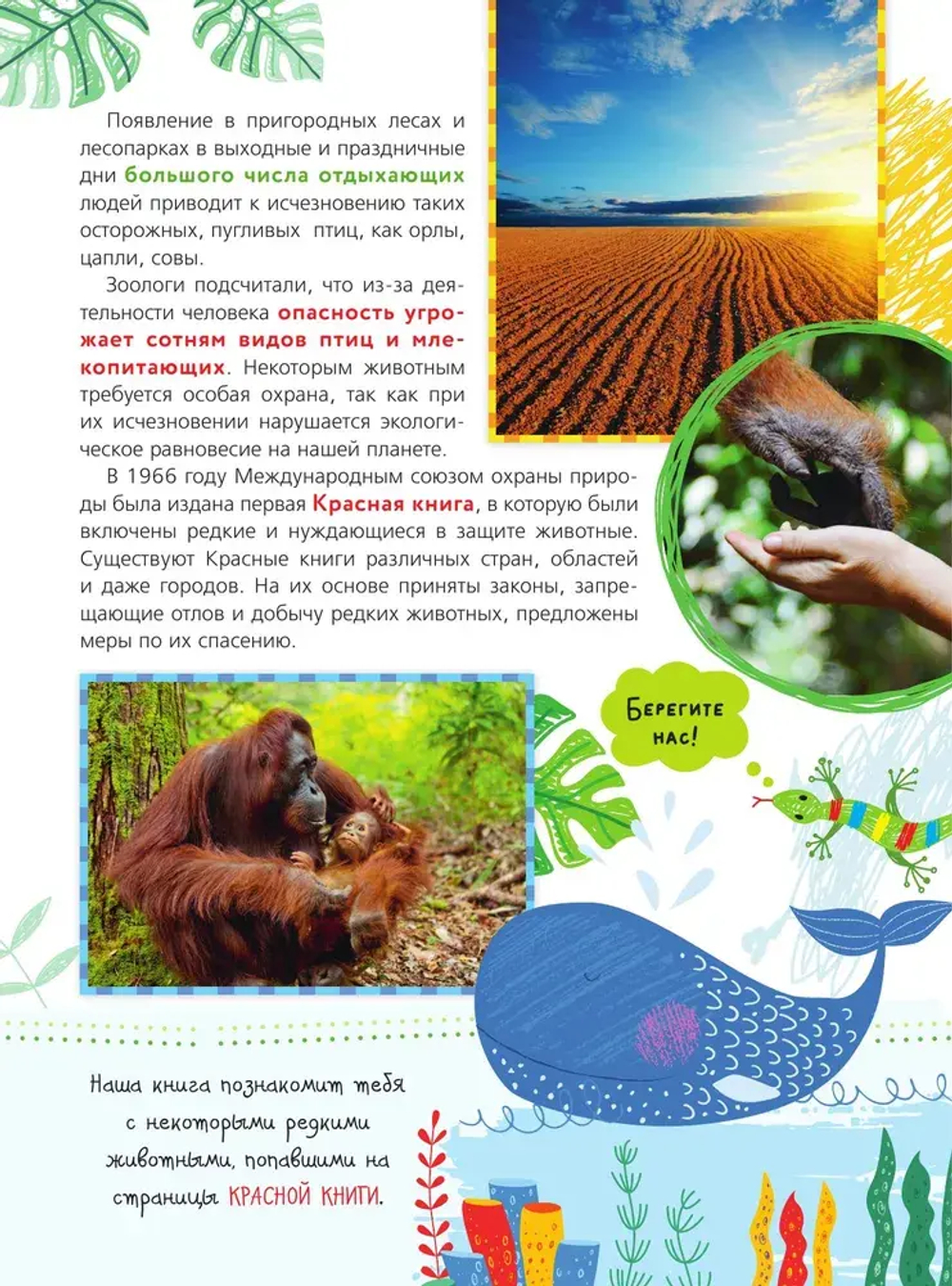 Красная книга для малышей