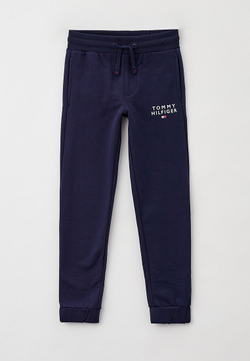 Брюки TOMMY FLAG SWEATPANTS