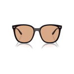 Очки RayBan, 0RB4423D601/9366