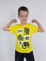 5-136-1 Футболка для мальчика