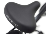Женский велосипед Electra Townie Path 9D EQ Step Thru (2022)