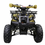 Квадроцикл ATV TERMIT TT
