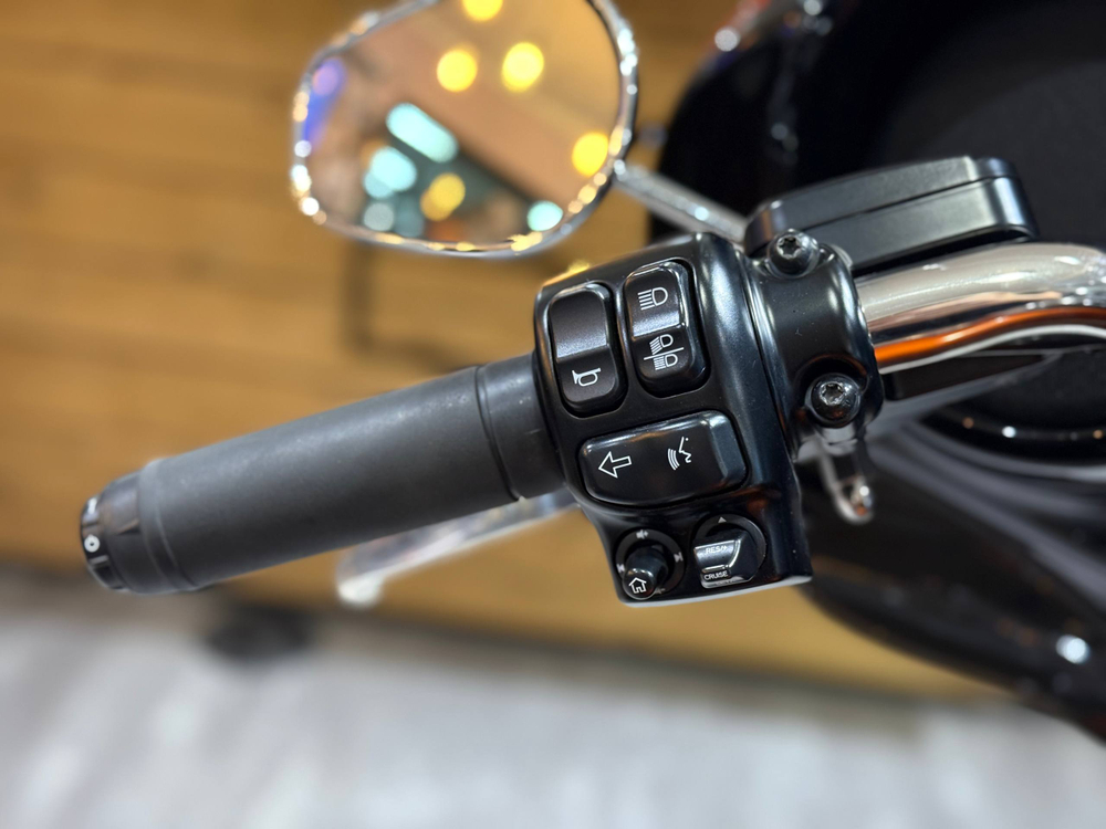 Harley-Davidson Ultra Limited, 2019 мг