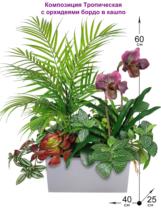 Композиция Тропическая с орхидеями бордо в кашпо