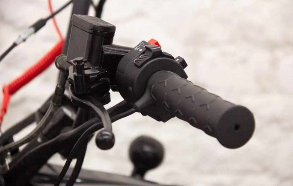 Снегоход IRBIS SF200L