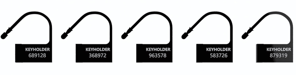Черные пломбы-шильдики для пояса верности - 5 шт. (Цвет: черный)