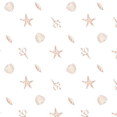 Акварельные ракушки