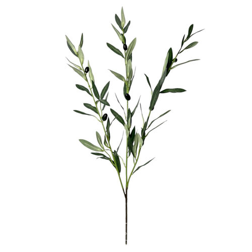 Олива ветка с плодами 70 см.