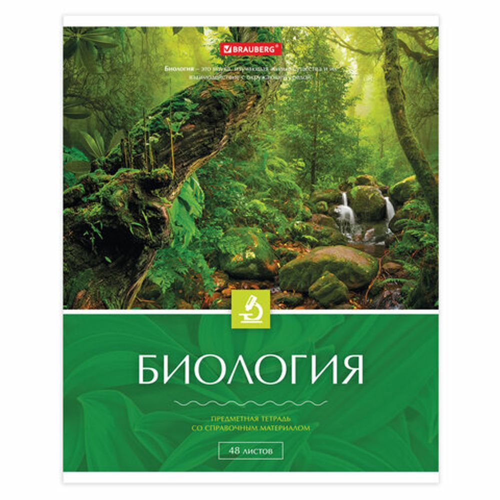 Тетради предметные, КОМПЛЕКТ 10 ПРЕДМЕТОВ, КЛАССИКА, 48 листов, BRAUBERG, 403559