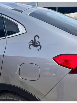 Наклейка на авто надпись с котом