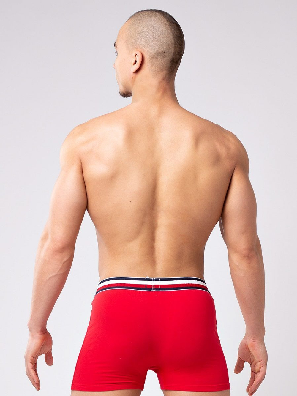 Мужские боксеры из мягкого хлопкового трикотажа с резинкой в полоску (Размер: S) (Цвет: серый)