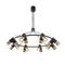 Подвесная люстра Indigo Doppio 11036/16P Black V000456