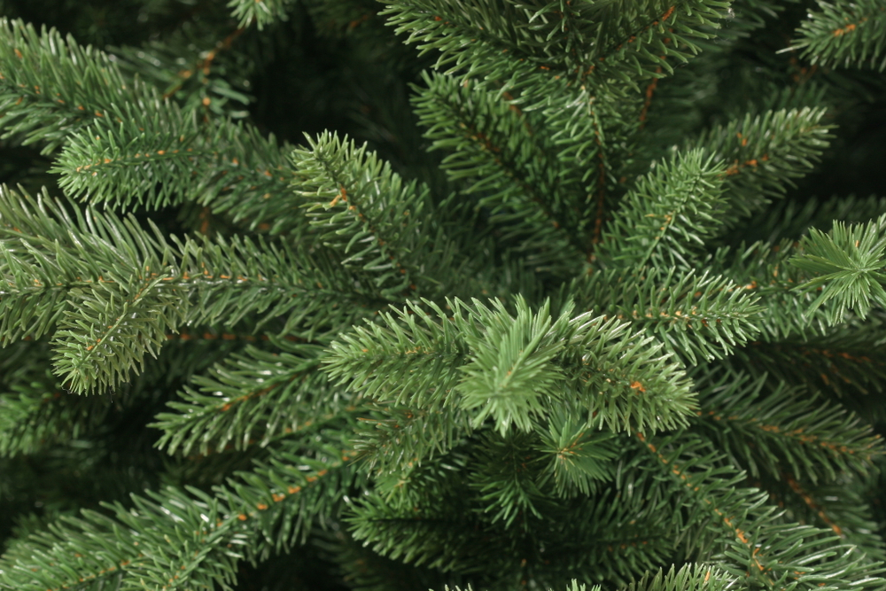 Ель искуственная Царь елка Сапфир 230 см